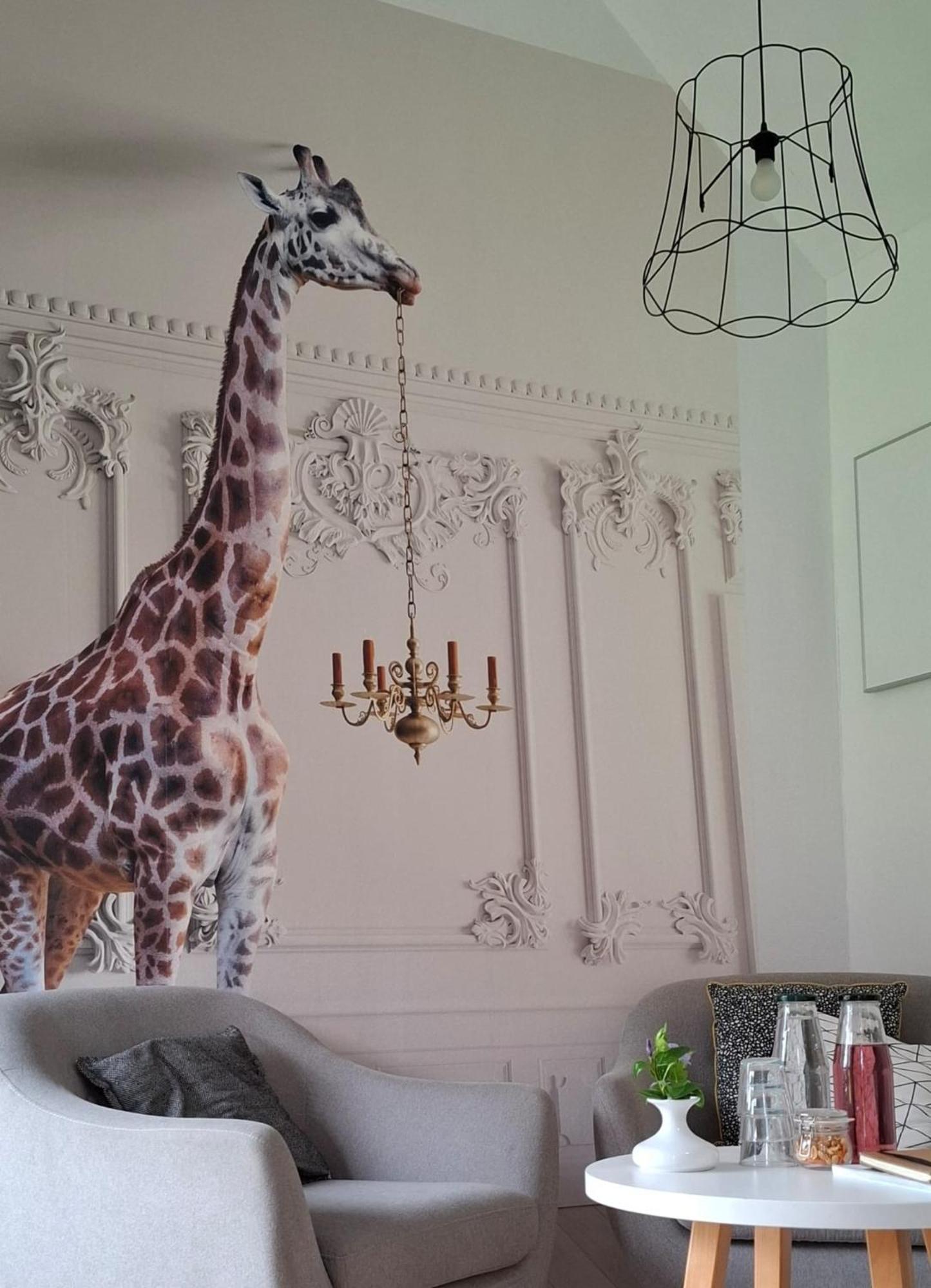 Hofstede 's Gravenhoek Bed & Breakfast Wissenkerke